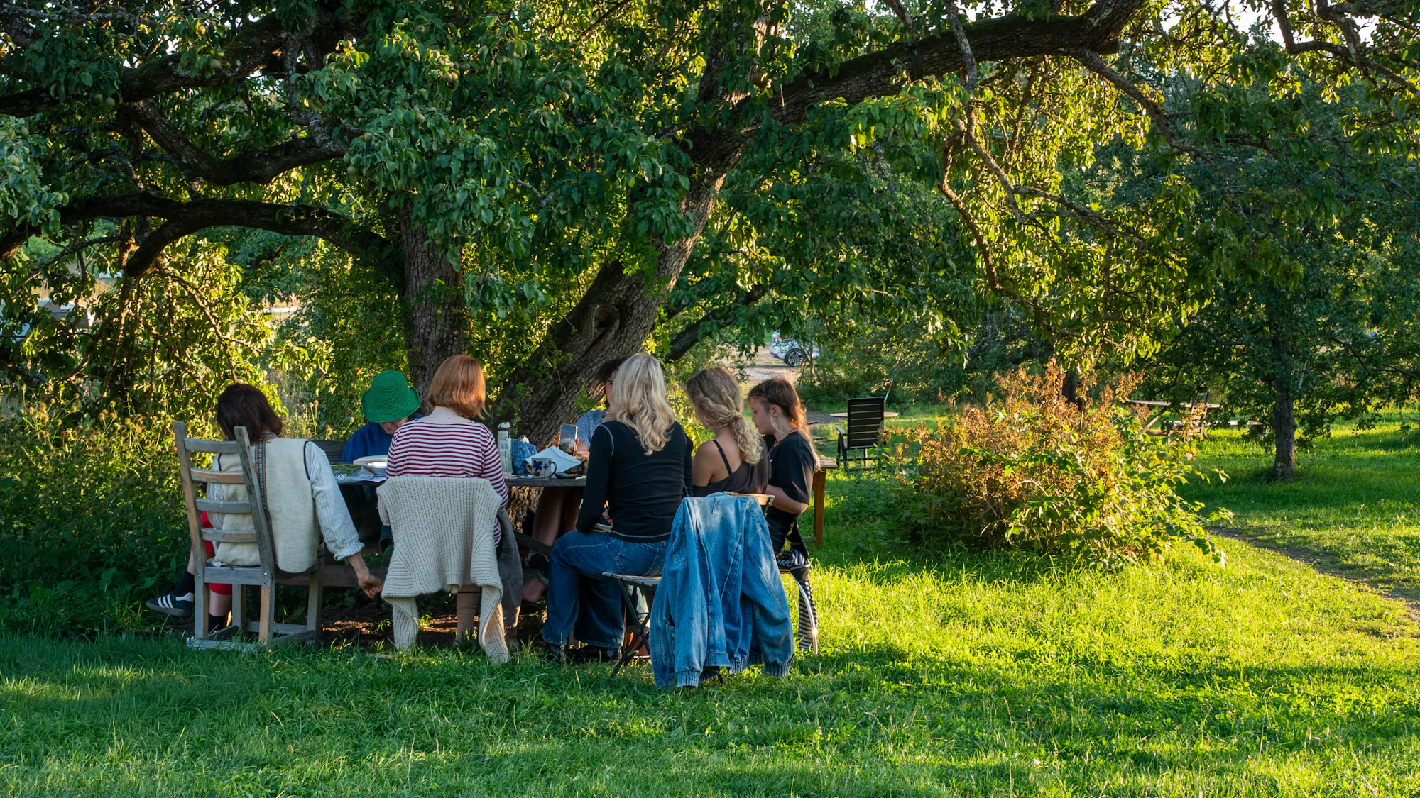 Family gathered round a long table beneath a garden tree in evening sun